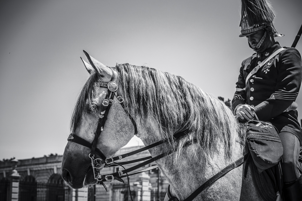 Relevo Solemne y Cambio de Guardia Real, Palacio Real, Madrid, España