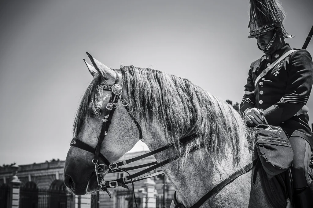 Relevo Solemne y Cambio de Guardia Real, Palacio Real, Madrid, España