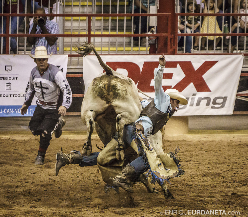 Rodeo_Davie_by_Enrique_Urdaneta_4.jpg