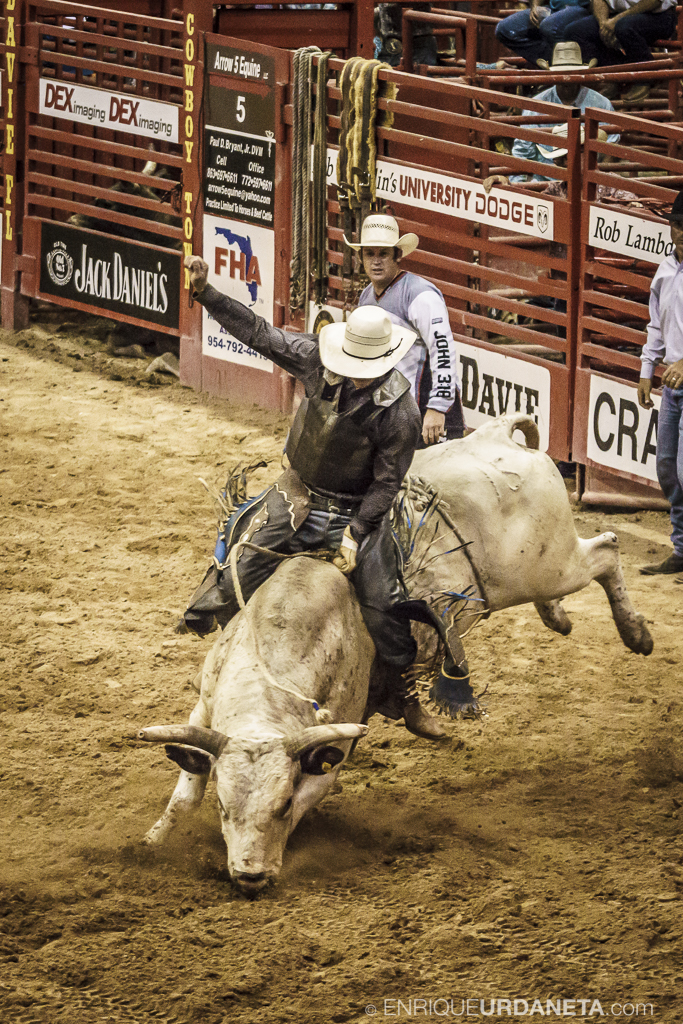 Rodeo_Davie_by_Enrique_Urdaneta_7.jpg