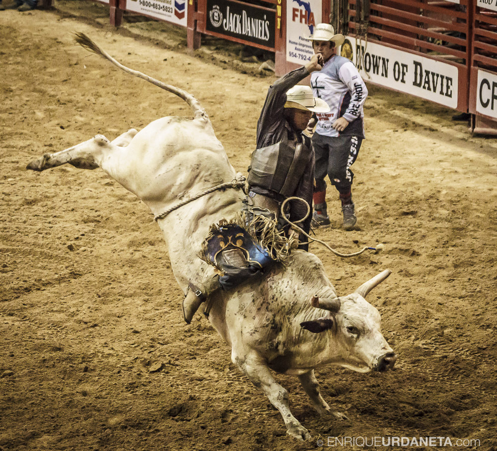 Rodeo_Davie_by_Enrique_Urdaneta_8.jpg