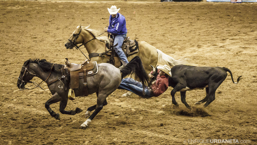 Rodeo_Davie_by_Enrique_Urdaneta_10.jpg