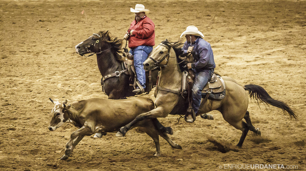 Rodeo_Davie_by_Enrique_Urdaneta_11.jpg