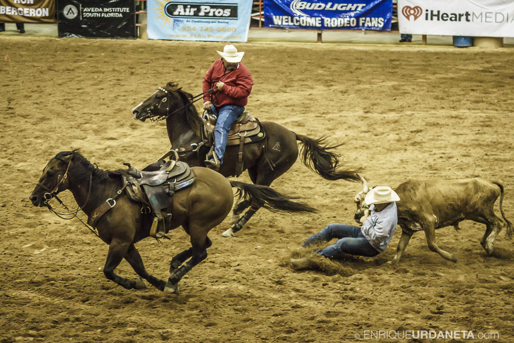 Rodeo_Davie_by_Enrique_Urdaneta_13.jpg