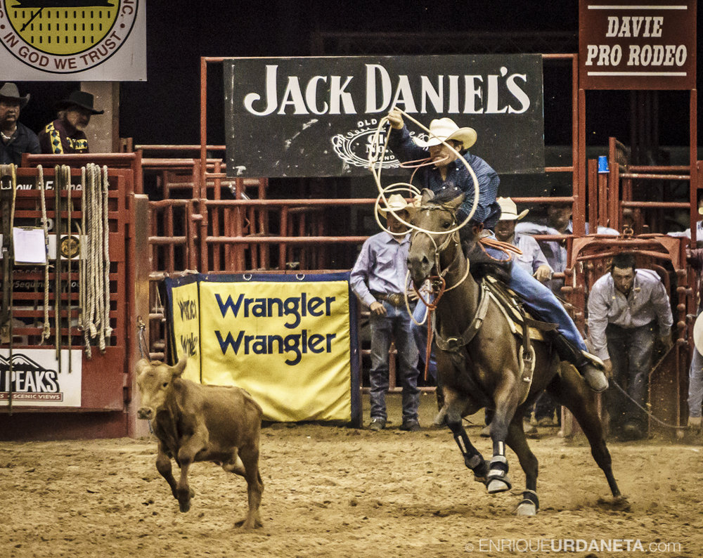 Rodeo_Davie_by_Enrique_Urdaneta_15.jpg