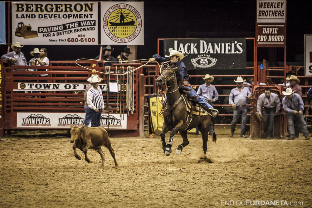 Rodeo_Davie_by_Enrique_Urdaneta_16.jpg