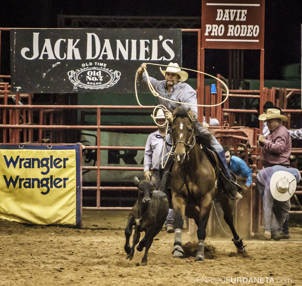 Rodeo_Davie_by_Enrique_Urdaneta_17.jpg