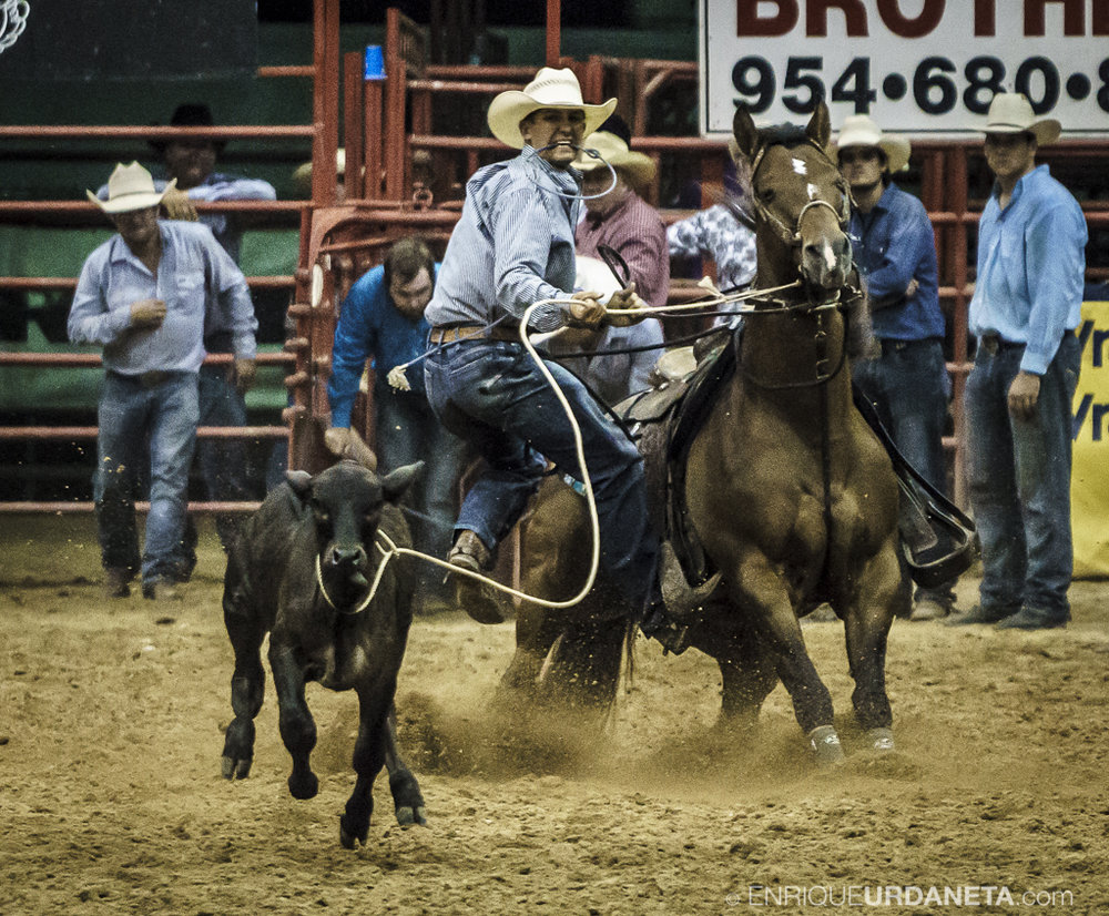 Rodeo_Davie_by_Enrique_Urdaneta_18.jpg