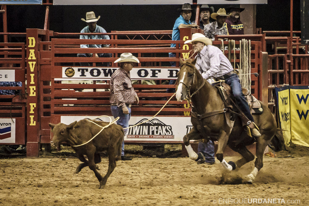 Rodeo_Davie_by_Enrique_Urdaneta_22.jpg