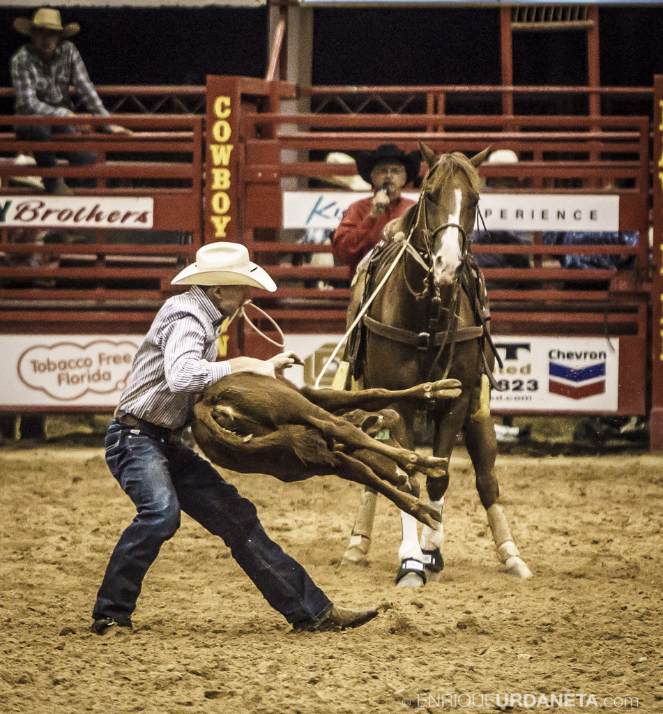 Rodeo_Davie_by_Enrique_Urdaneta_23.jpg