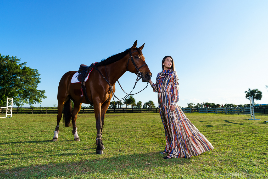 Horse Photographer