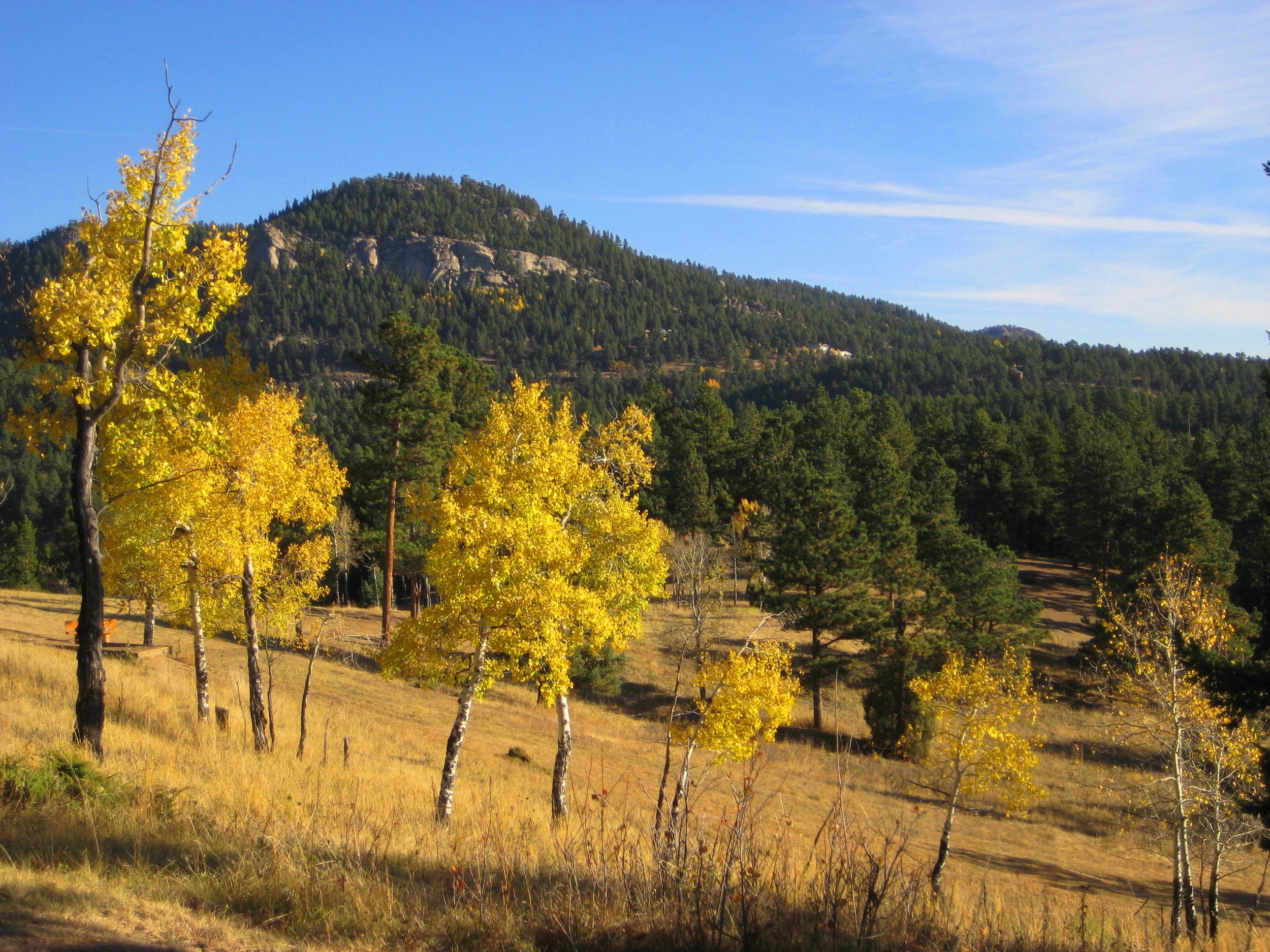 Disc golf course.jpg