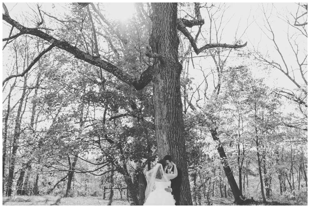 hazel-lining-photography-wedding-portrait-buckscounty-pennsylvania-stephanie-reif_0318.jpg