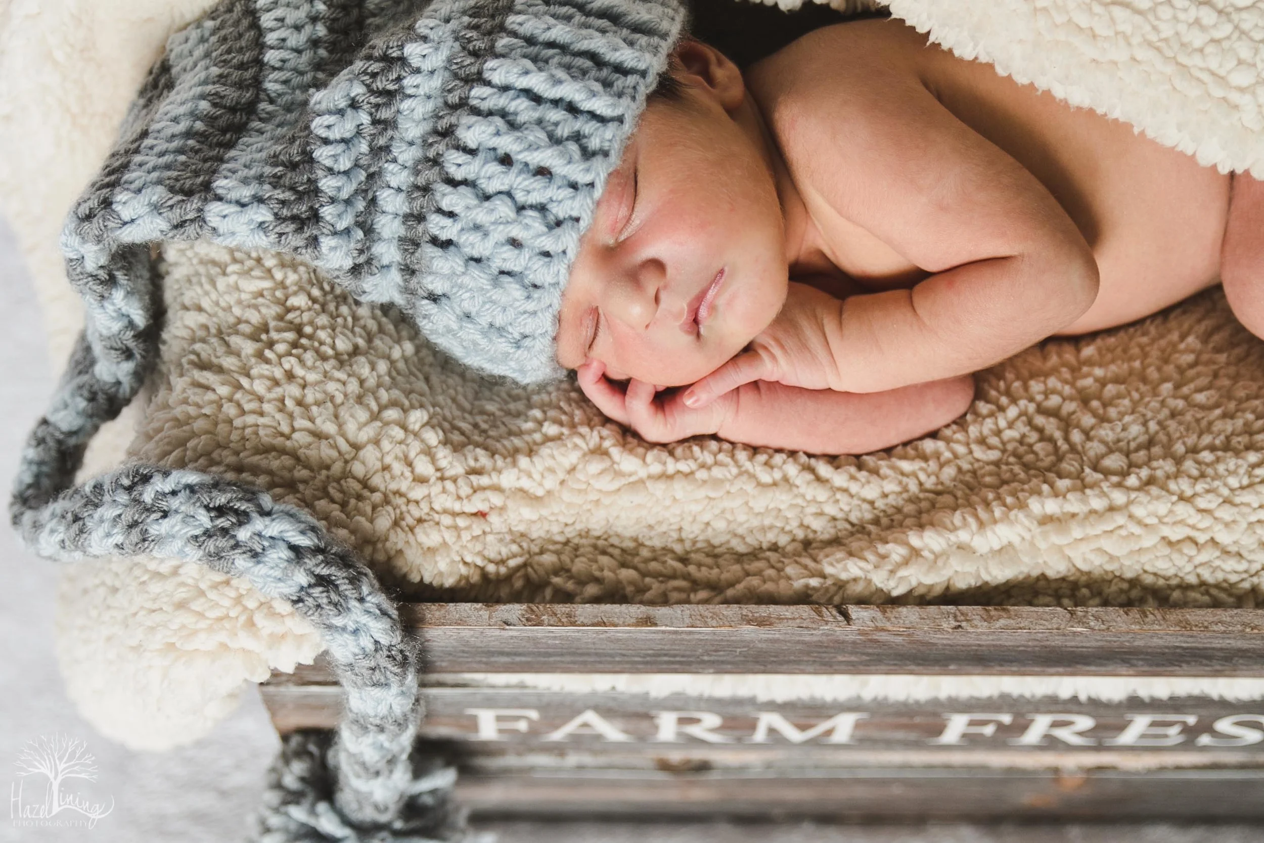 Matthew: Newborn Session