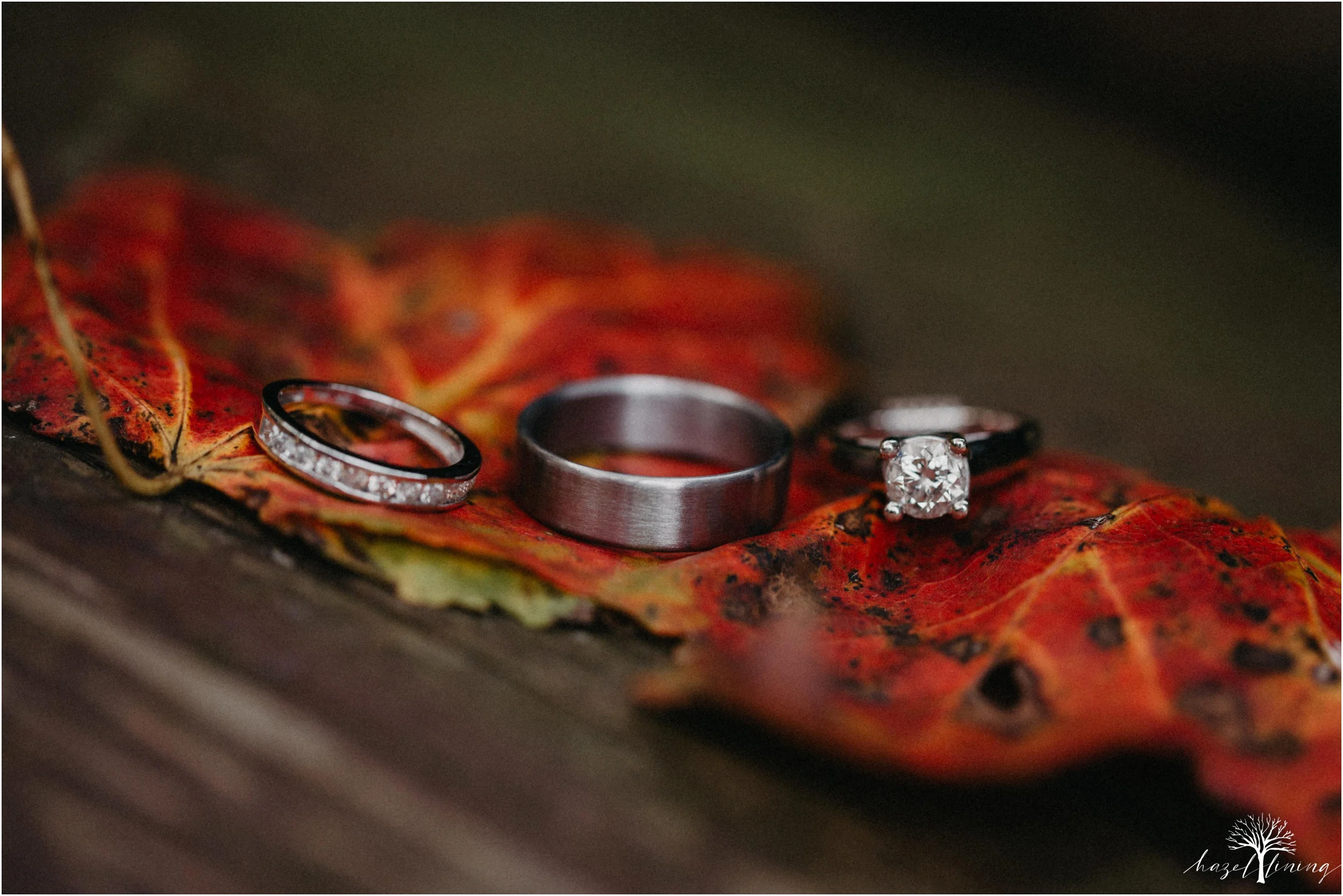 jessie-martin-zach-umlauf-olde-homestead-golfclub-outdoor-autumn-wedding_0005.jpg