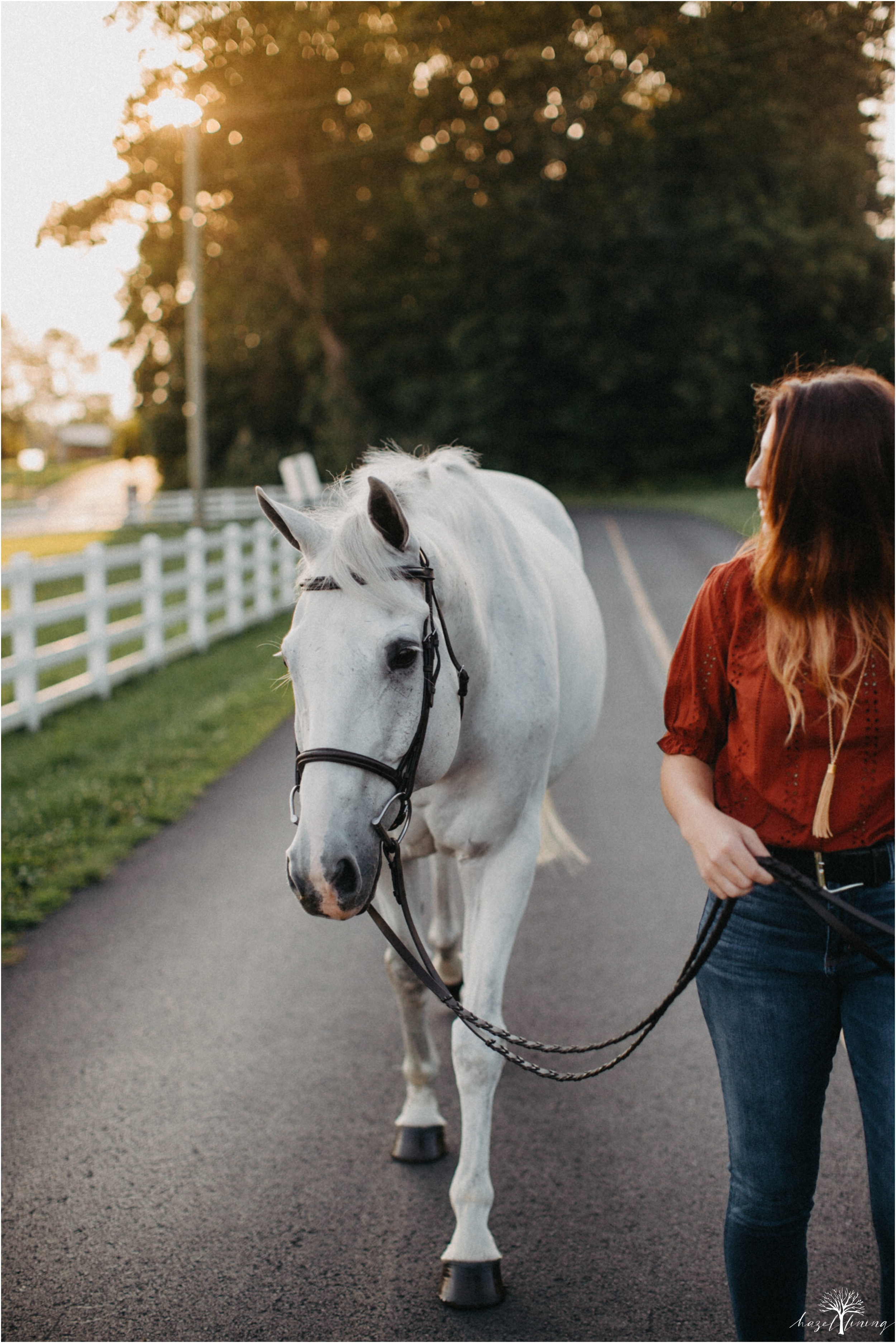 taylor-adams-and-horse-delaware-valley-university-delval-summer-equestrian-portrait-session-hazel-lining-photography-destination-elopement-wedding-engagement-photography_0014.jpg