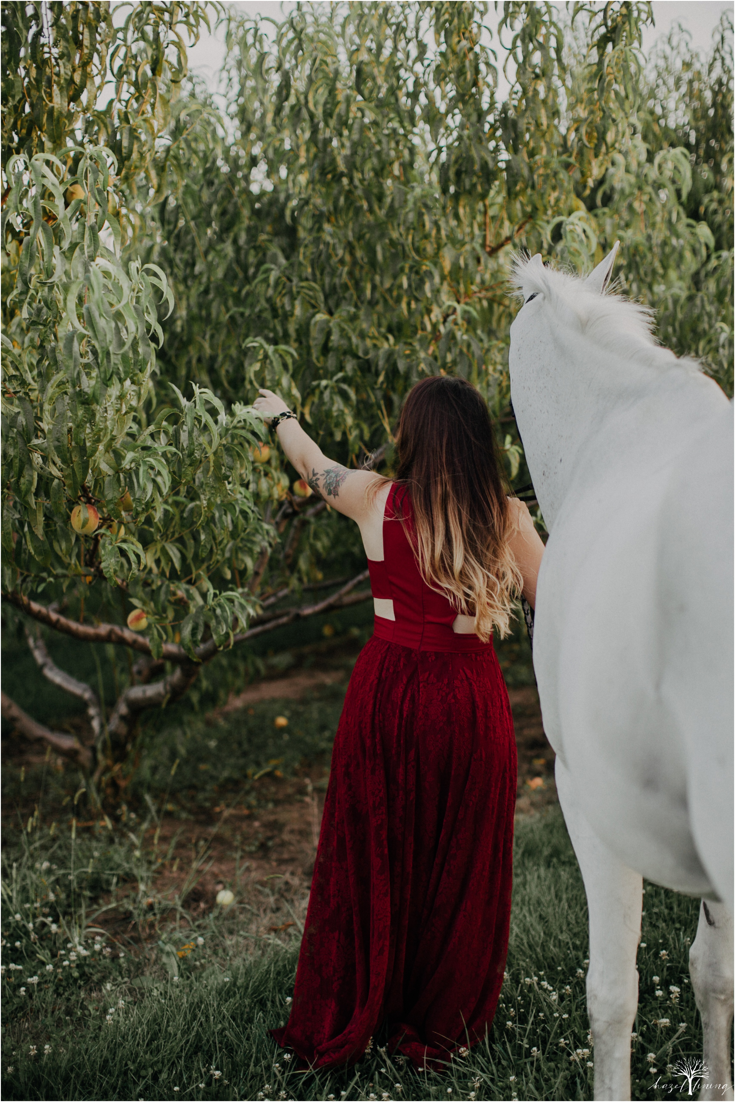 taylor-adams-and-horse-delaware-valley-university-delval-summer-equestrian-portrait-session-hazel-lining-photography-destination-elopement-wedding-engagement-photography_0041.jpg