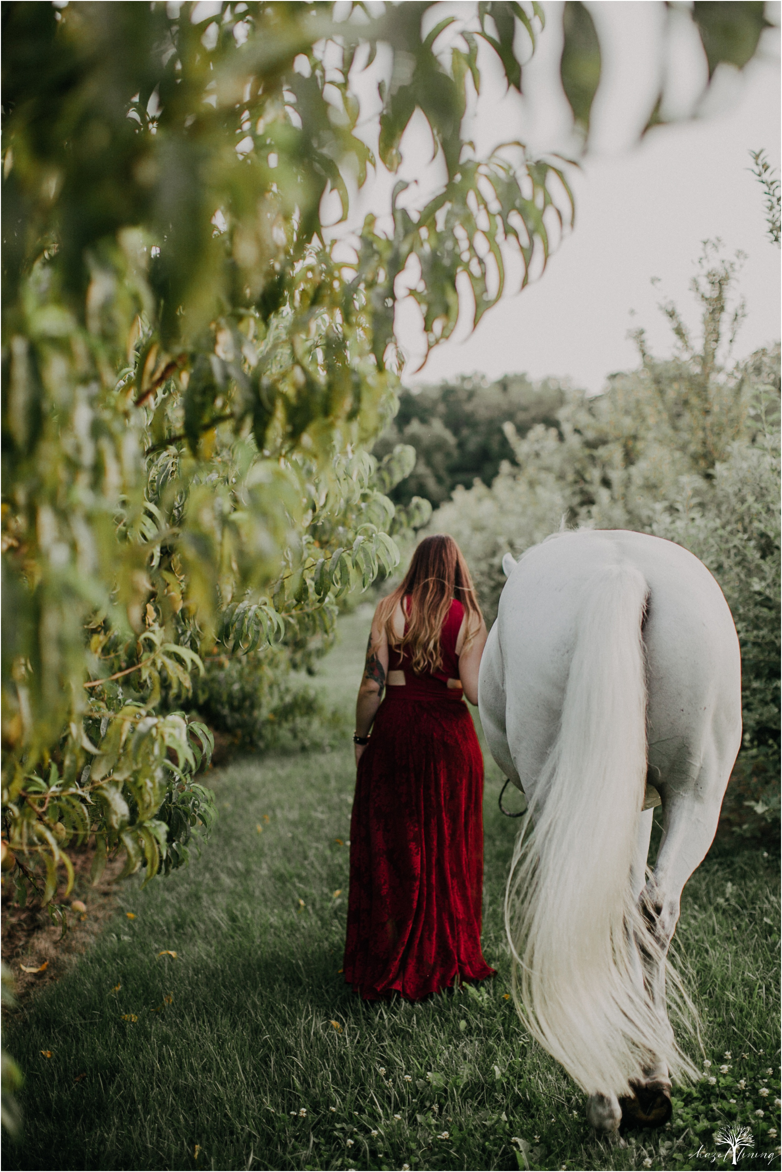 taylor-adams-and-horse-delaware-valley-university-delval-summer-equestrian-portrait-session-hazel-lining-photography-destination-elopement-wedding-engagement-photography_0042.jpg