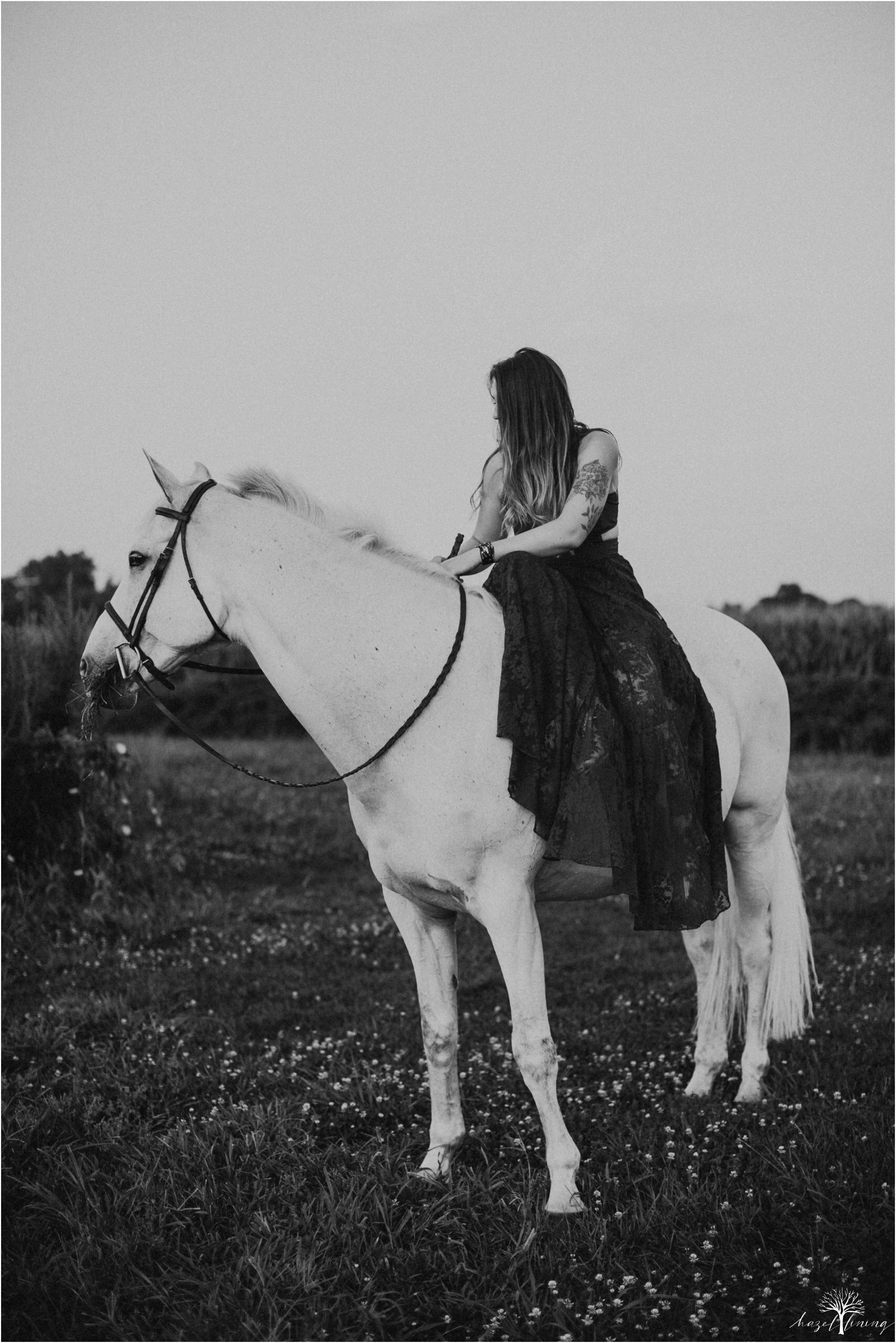 taylor-adams-and-horse-delaware-valley-university-delval-summer-equestrian-portrait-session-hazel-lining-photography-destination-elopement-wedding-engagement-photography_0054.jpg