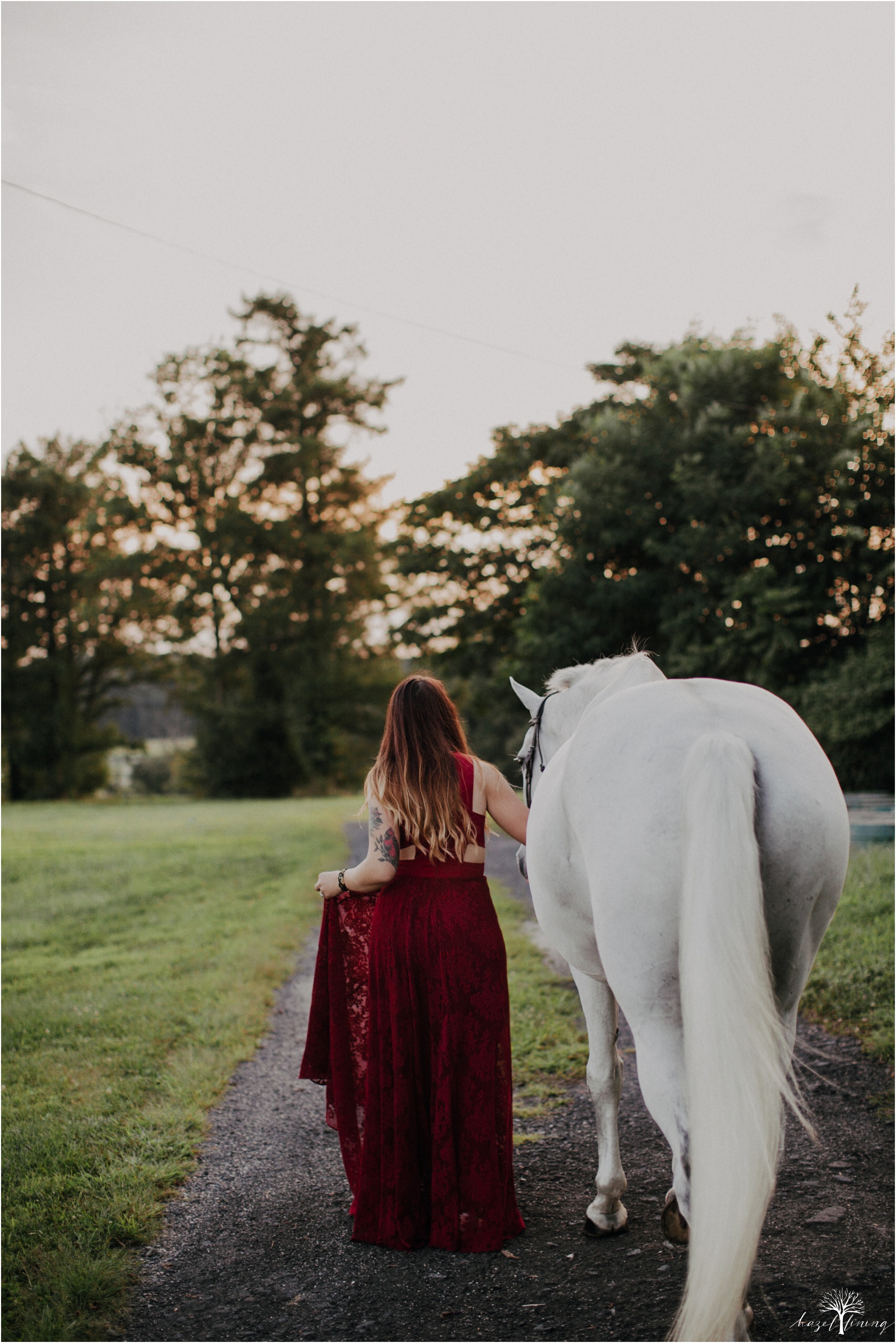 taylor-adams-and-horse-delaware-valley-university-delval-summer-equestrian-portrait-session-hazel-lining-photography-destination-elopement-wedding-engagement-photography_0057.jpg