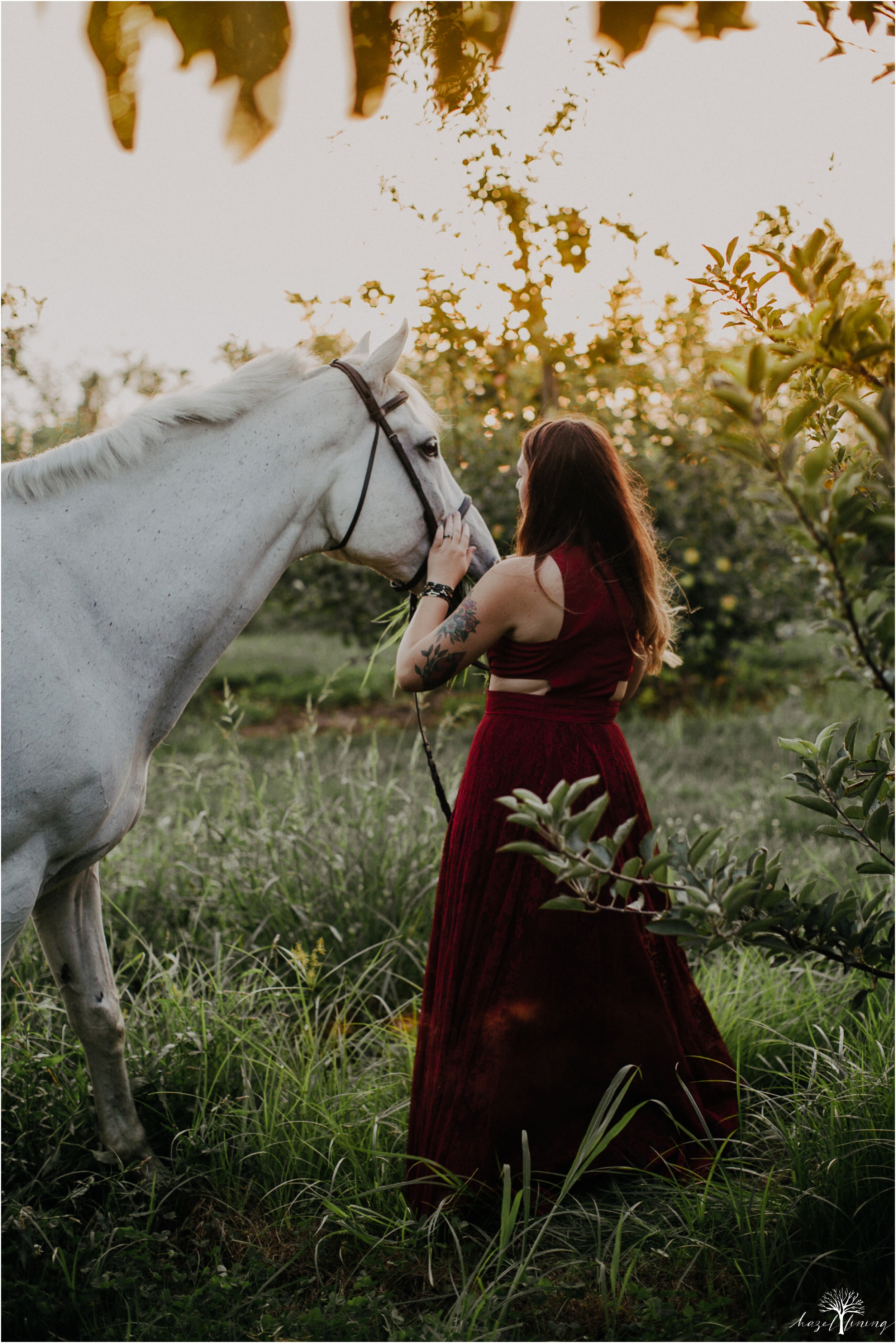 taylor-adams-and-horse-delaware-valley-university-delval-summer-equestrian-portrait-session-hazel-lining-photography-destination-elopement-wedding-engagement-photography_0077.jpg