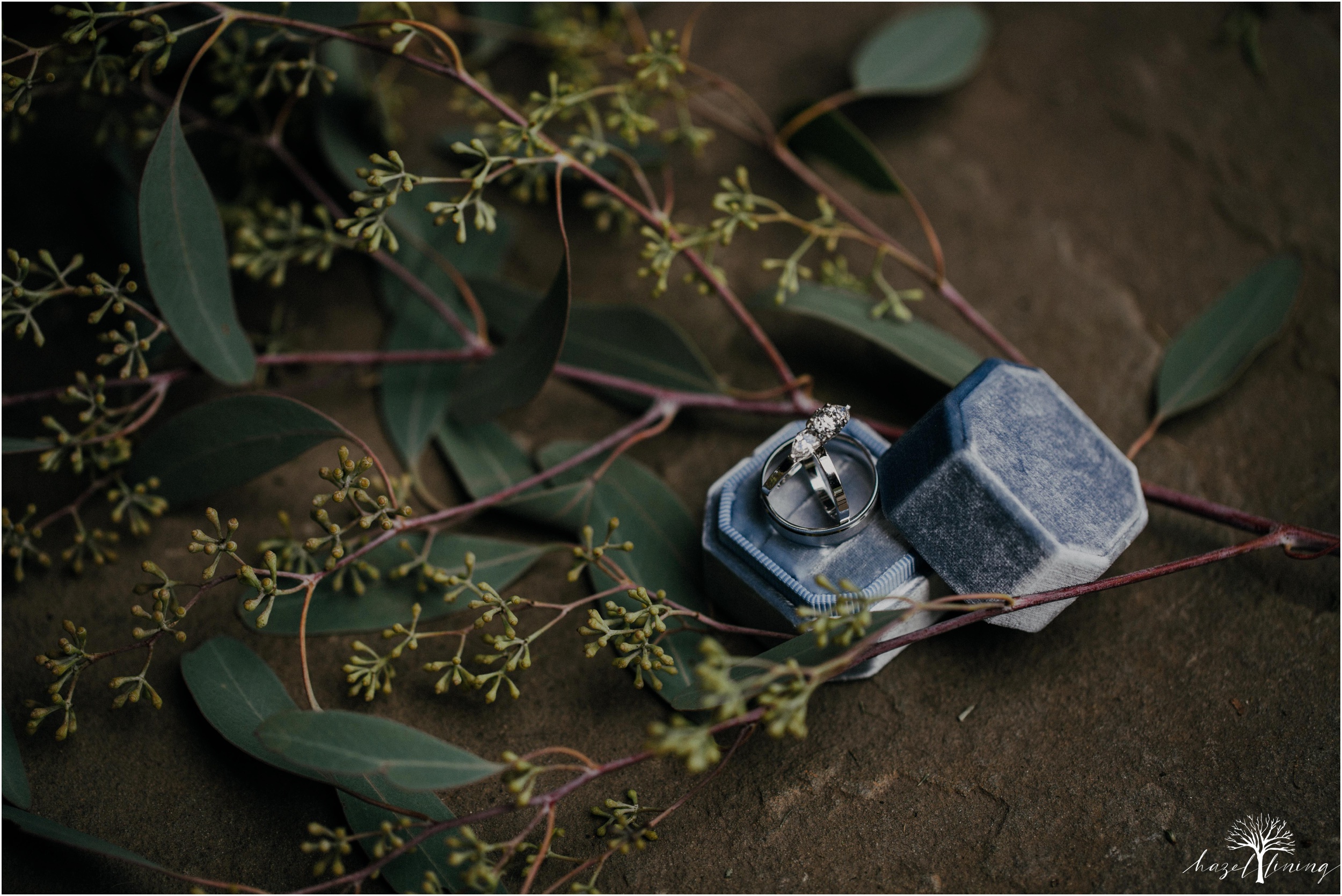 jason-tercha-laura-caruso-the-farm-bakery-and-events-quakertown-pa-summer-wedding-hazel-lining-photography-destination-elopement-wedding-engagement-photography_0004.jpg