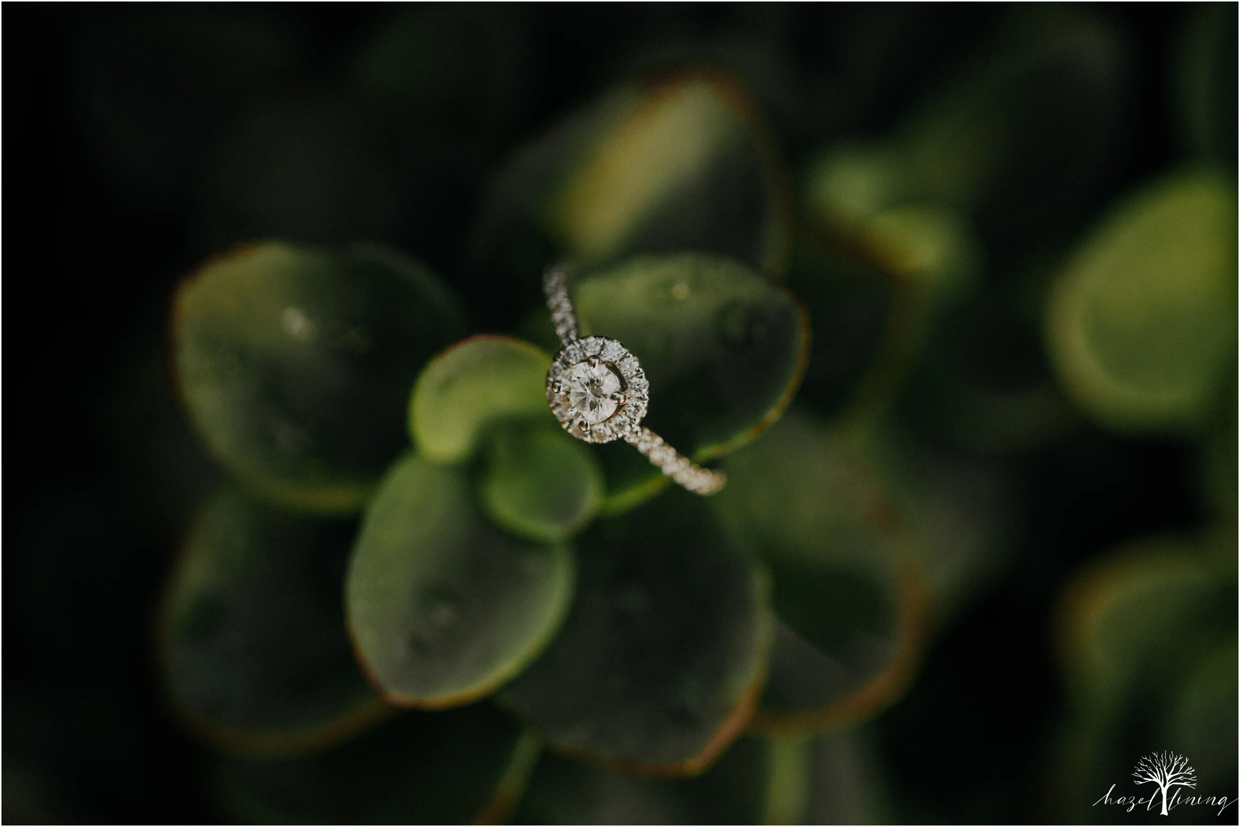 alyssa-wade-rafael-stephens-the-farm-bakery-and-events-quakertown-pa-summer-engagement-session-hazel-lining-photography-destination-elopement-wedding-engagement-photography_0174.jpg