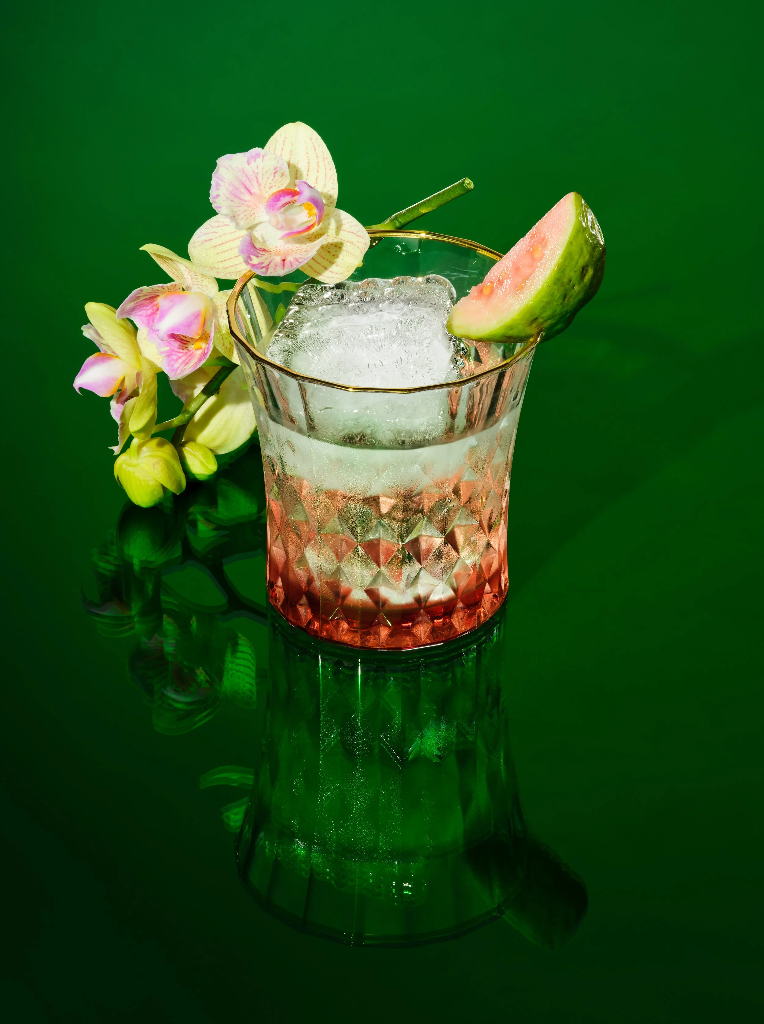 Lalo_10_17_24_Negroni  Guyabera_001.jpg