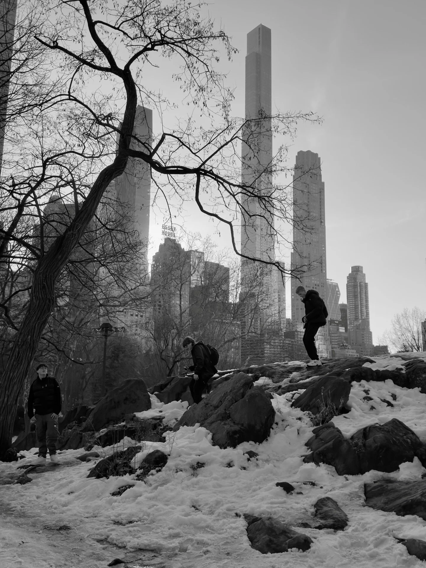 Destiny guides our fortunes more favorably than we could have expected. Look there, Sancho Panza, my friend, and see those thirty or so wild giants, with whom I intend to do battle and kill each and all of them, so with their stolen booty we can begi