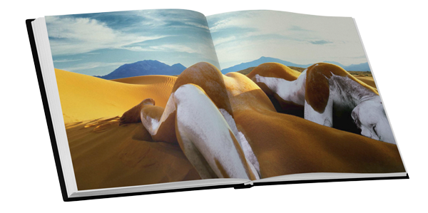 JP-Book-Mockup_04.png