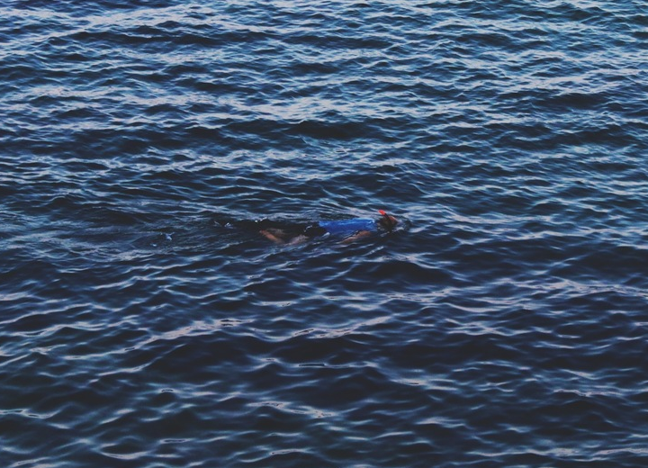 swimming.jpg