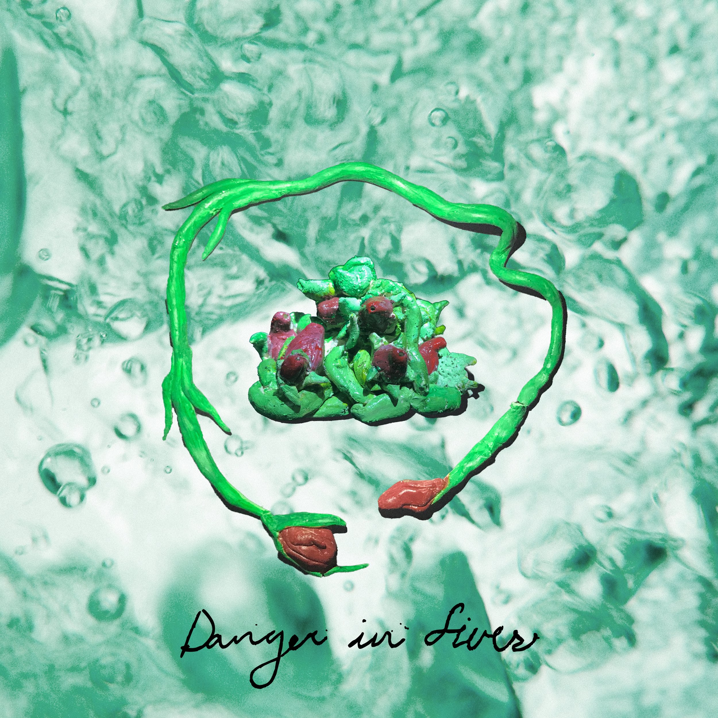 Danger in Fives Cover (digital).jpg