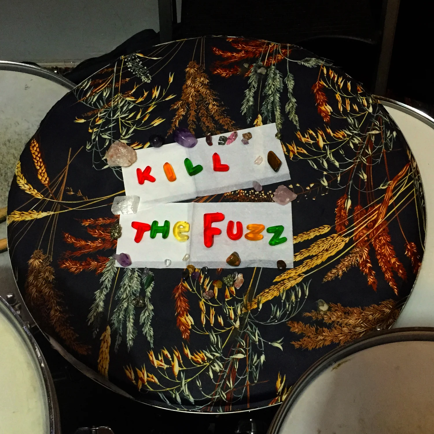 BBDDM_KillTheFuzz_theorchard.jpg