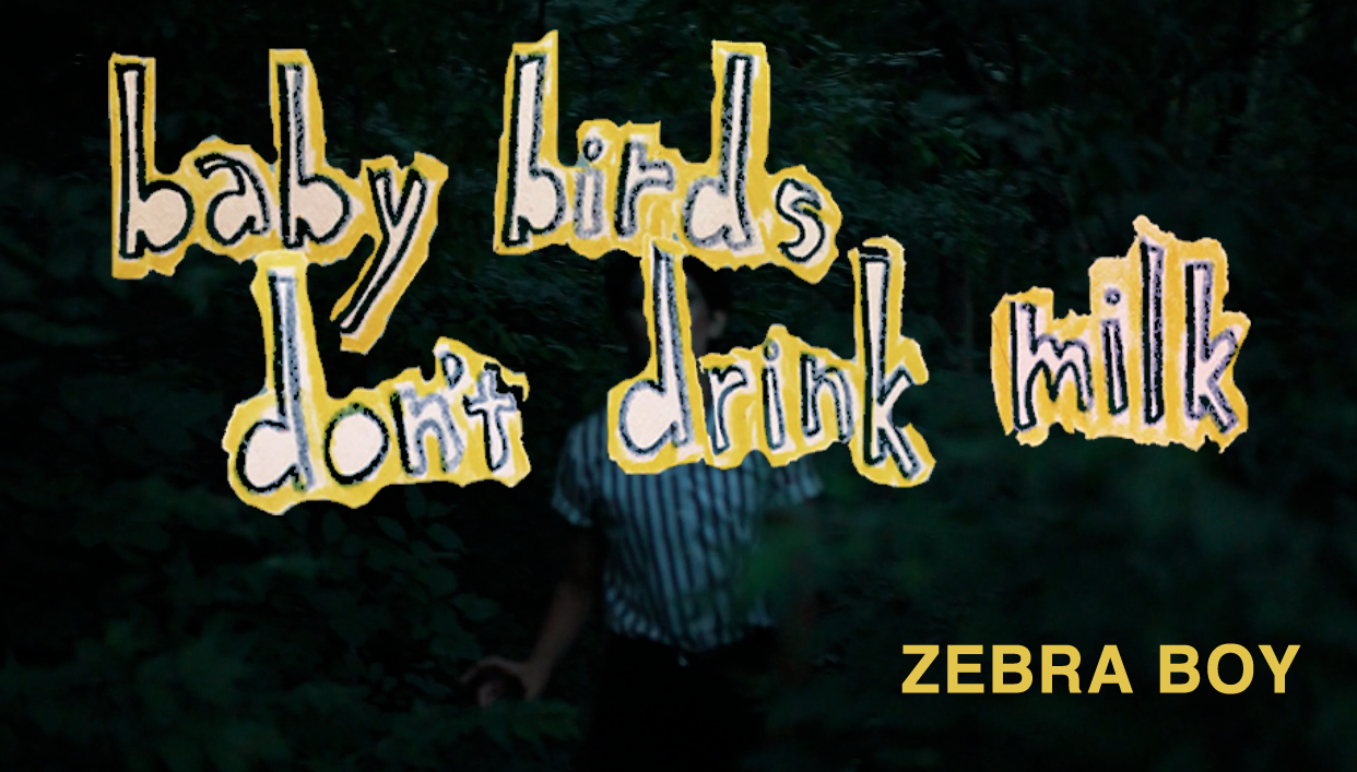 ZebraBoy_Thumbnail.png