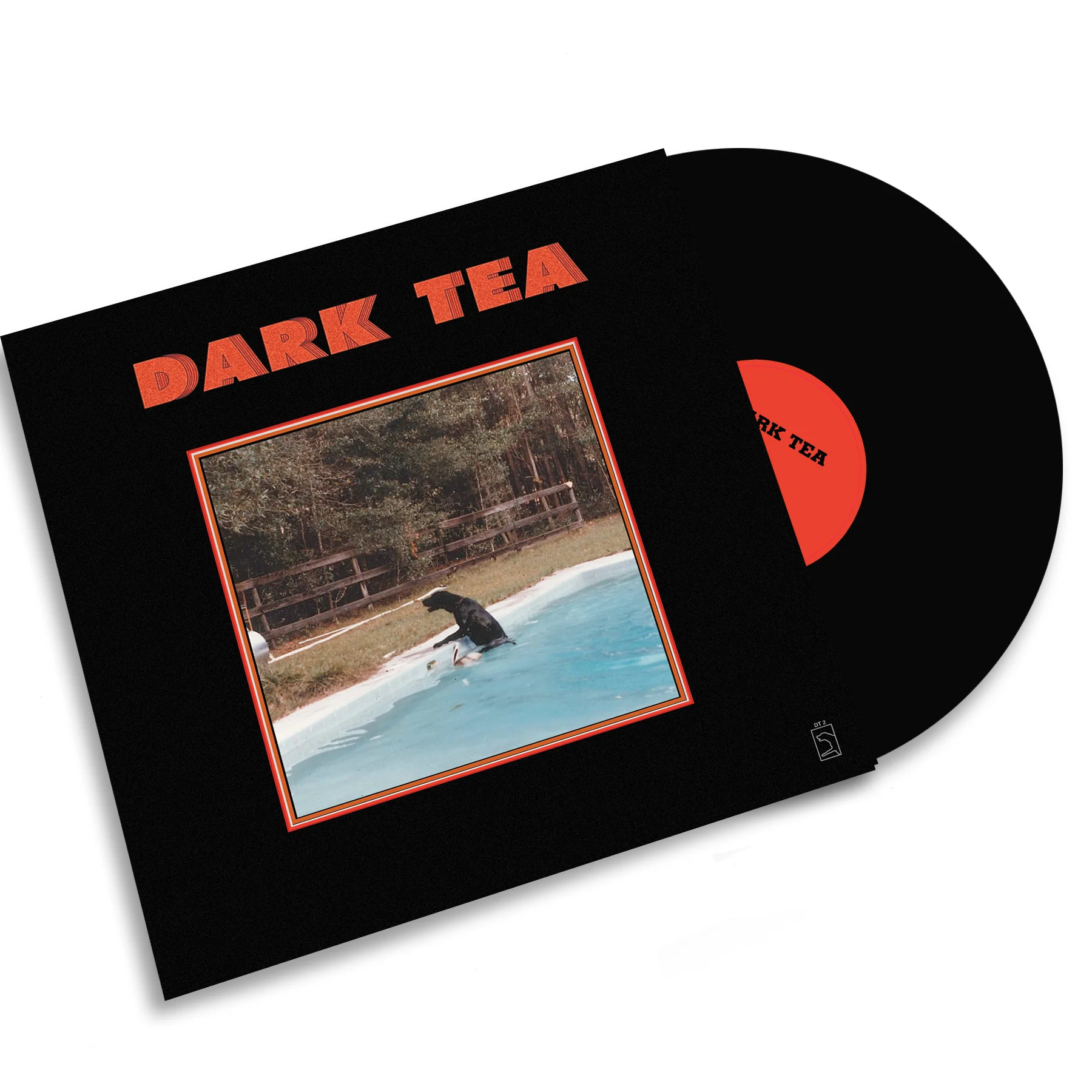 DarkTea_VinylPromoImage.jpg