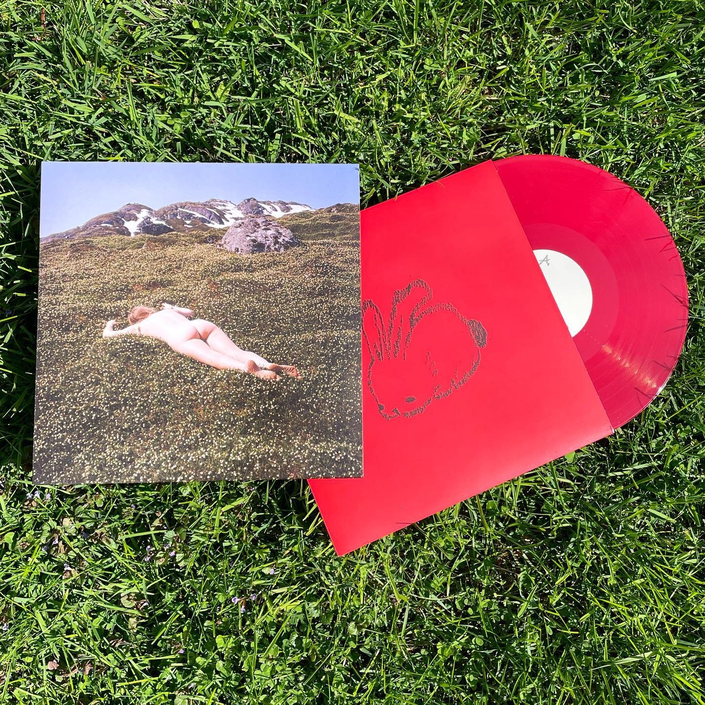@bnnyband&rsquo;s &ldquo;One Million Love Songs&rdquo;, the new album is in stores now on transparent bright red vinyl. Find it at your local indie shop ⬇️❤️

@recklessrecords @roughtradenyc @firetalkshop @bricabracrecords @ziarecords @totaldragrecor