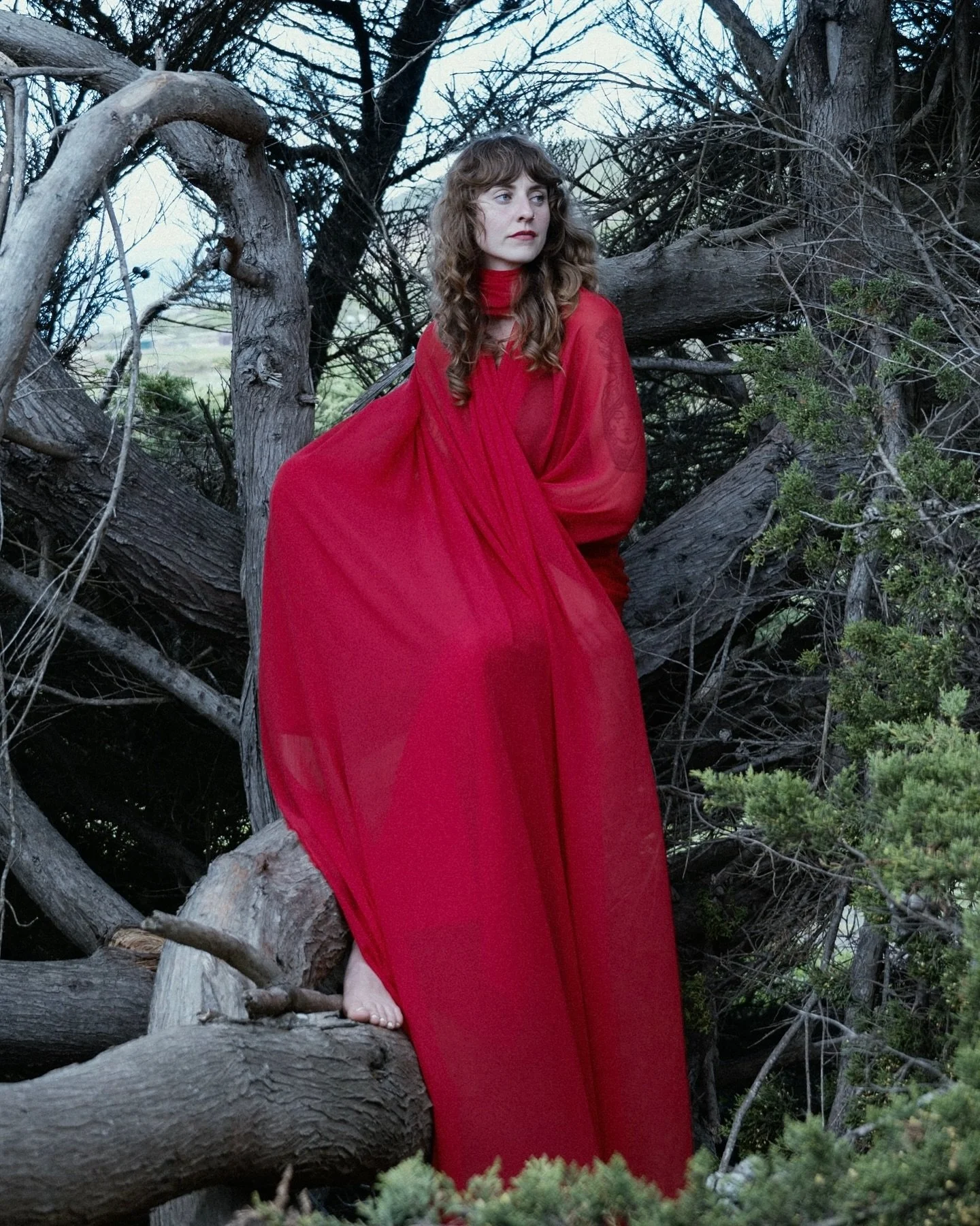 @hannahfrancesmusic by grant hindsley 📸 Hannah wraps up the 2025 Nested in Tangles touring this thursday in Los Angeles at @thebellwetherla