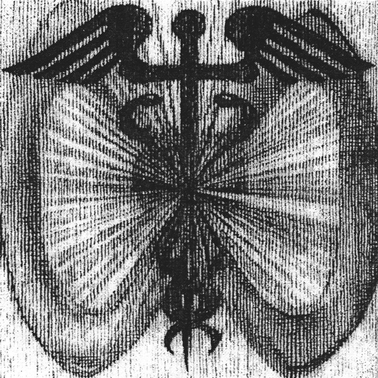 OUT NOW !! @robberrobber.info's thrillingly explosive sophomore album 'Two Wheels Move The Soul'. Stream it today &amp; most importantky buy music !!

Characterized by near-constant upheaval. In January of 2025, Cates (and Robber Robber co-founder) Z