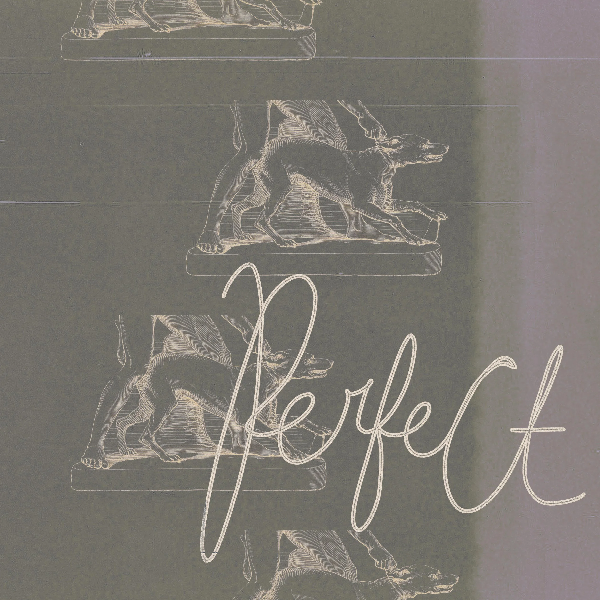 perfect alb cover.jpeg