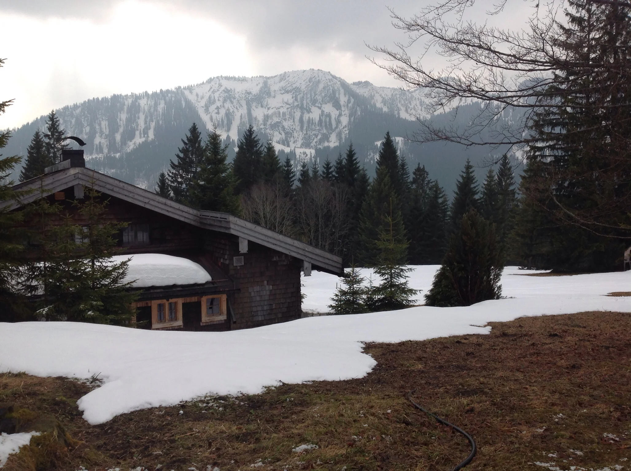 Those mountains are definitely the Alps.
