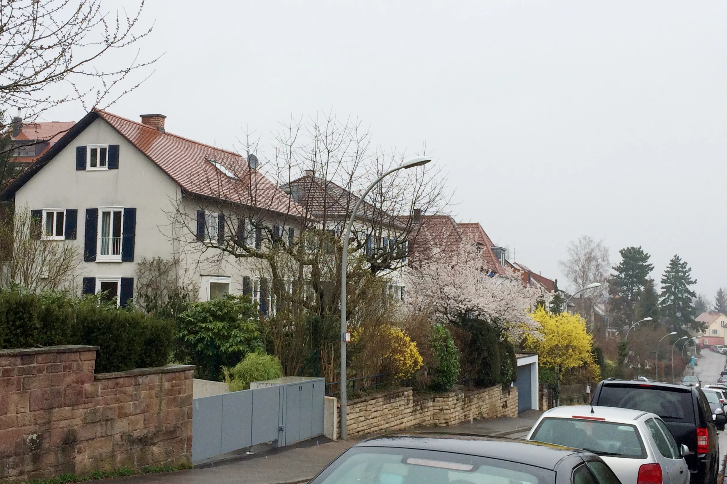 rainy day in my neighborhood
