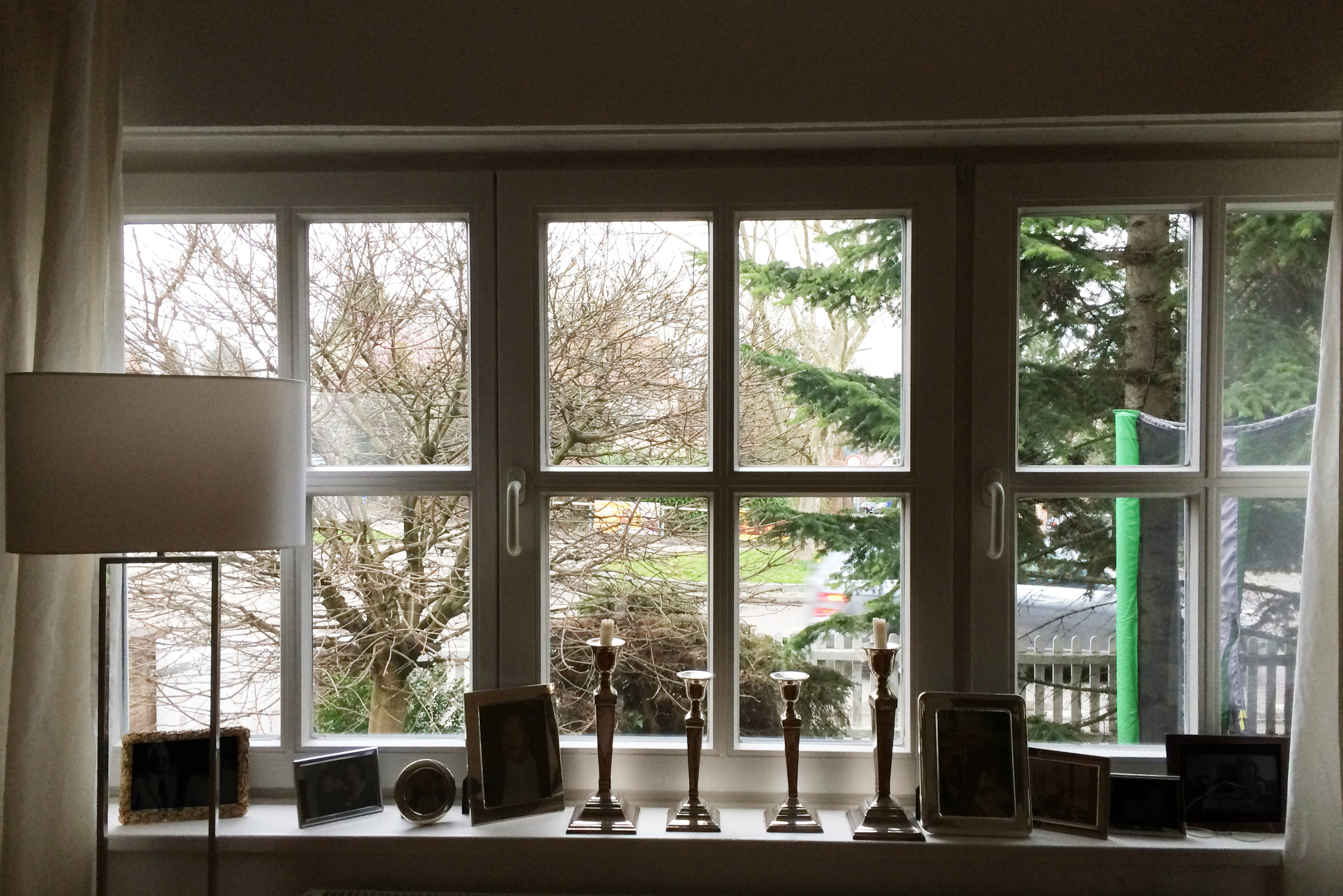 view from my front widow