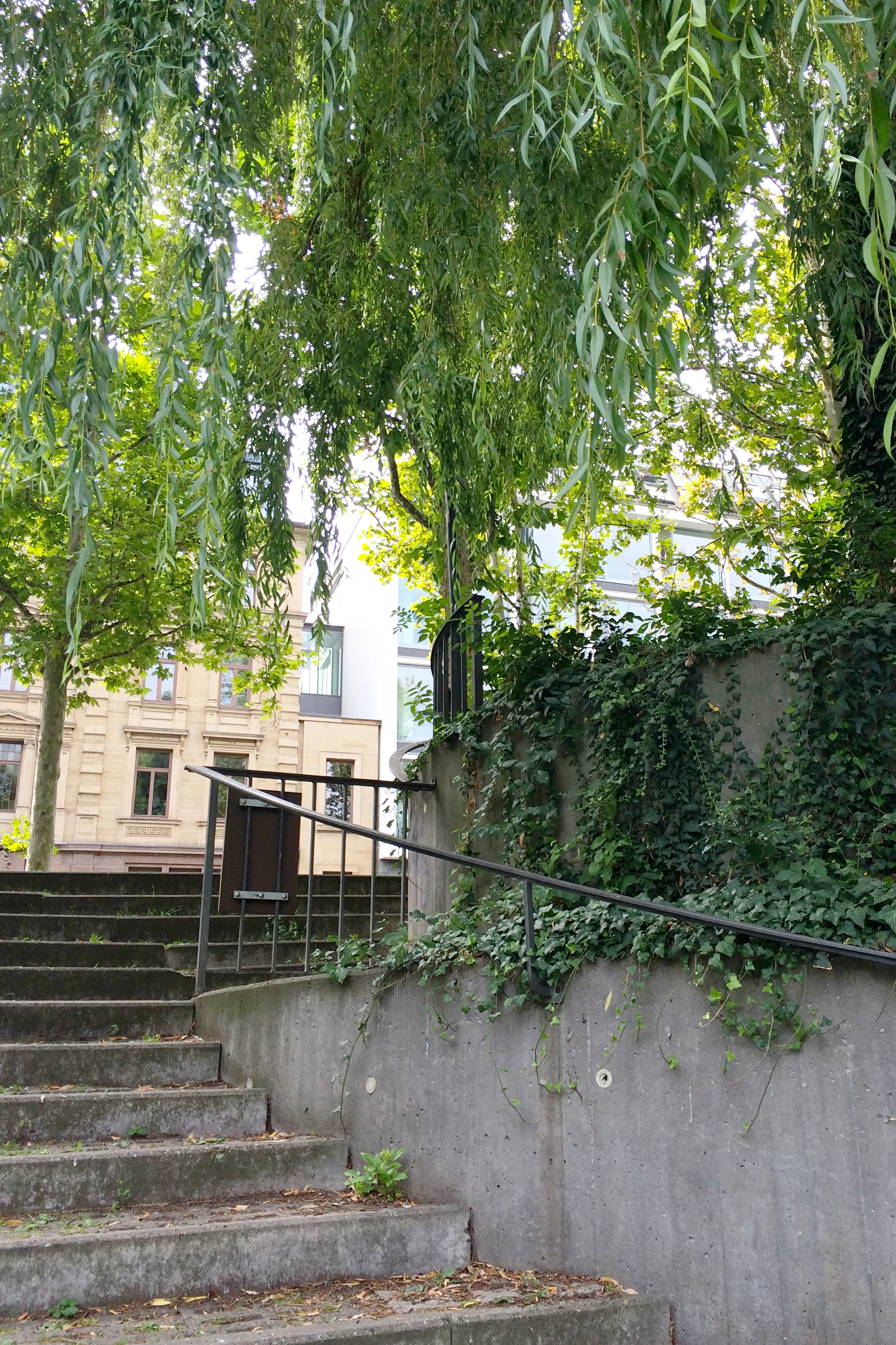 You can take these steps...