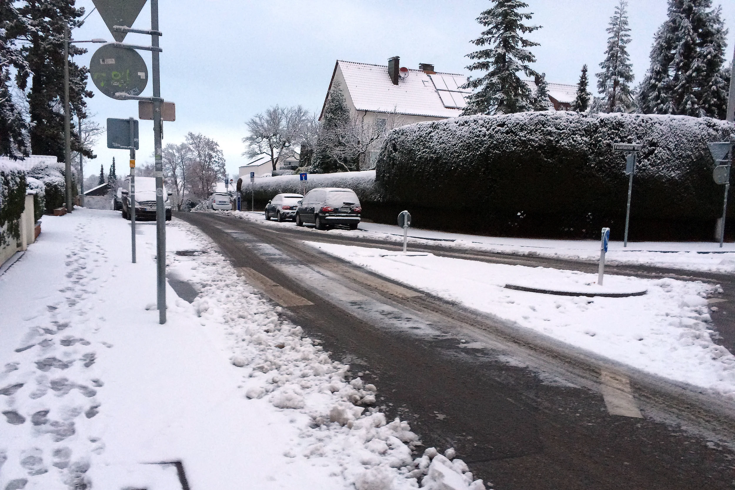 winter