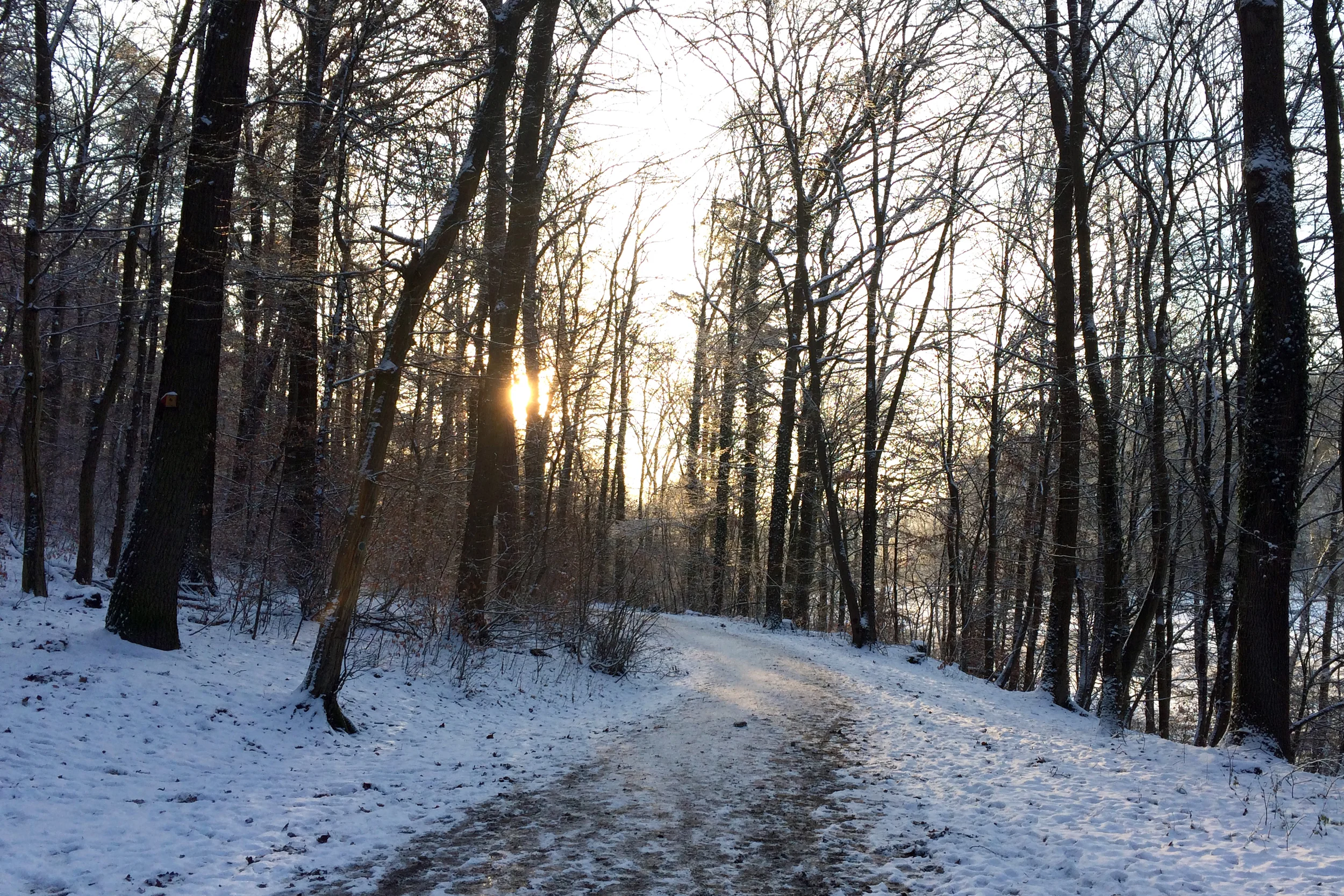 These winter pictures were taken the week of Christmas — right after a big snowfall.