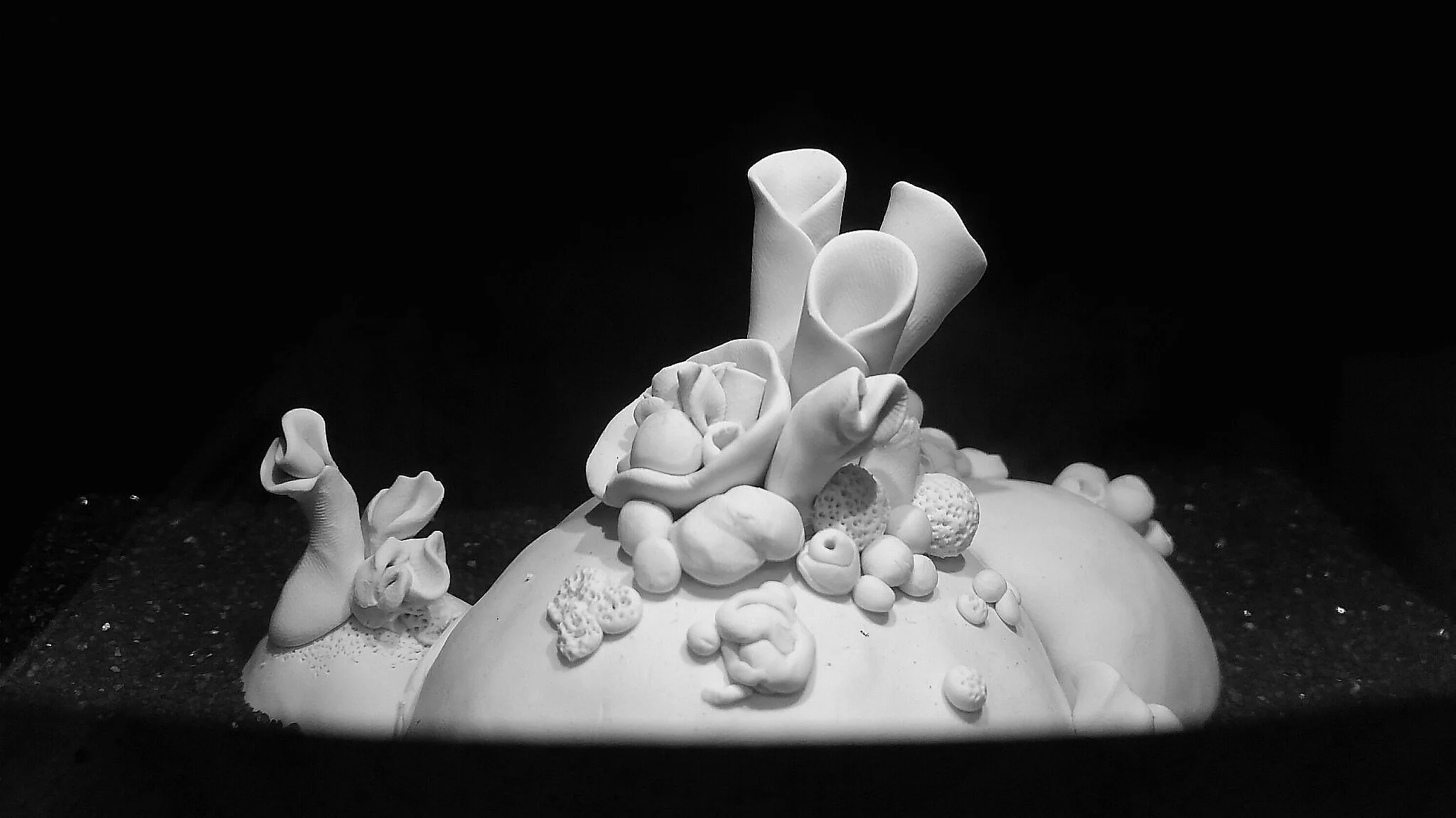 2015-09-24 084920b.JPG