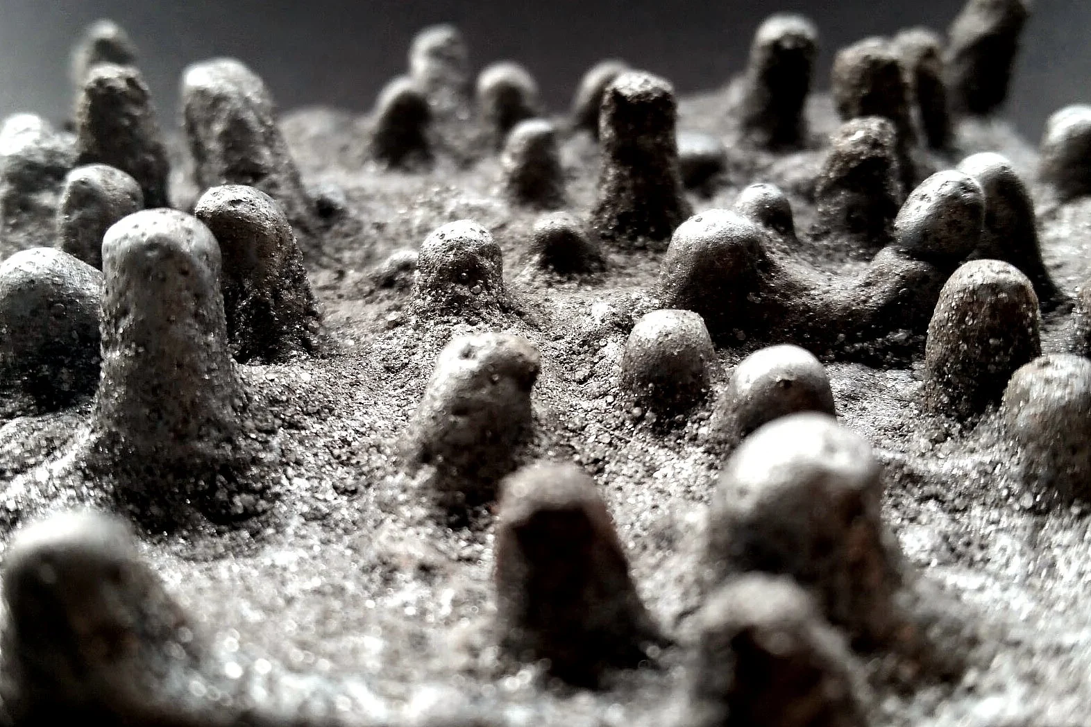 Ocean Floor - Riftia