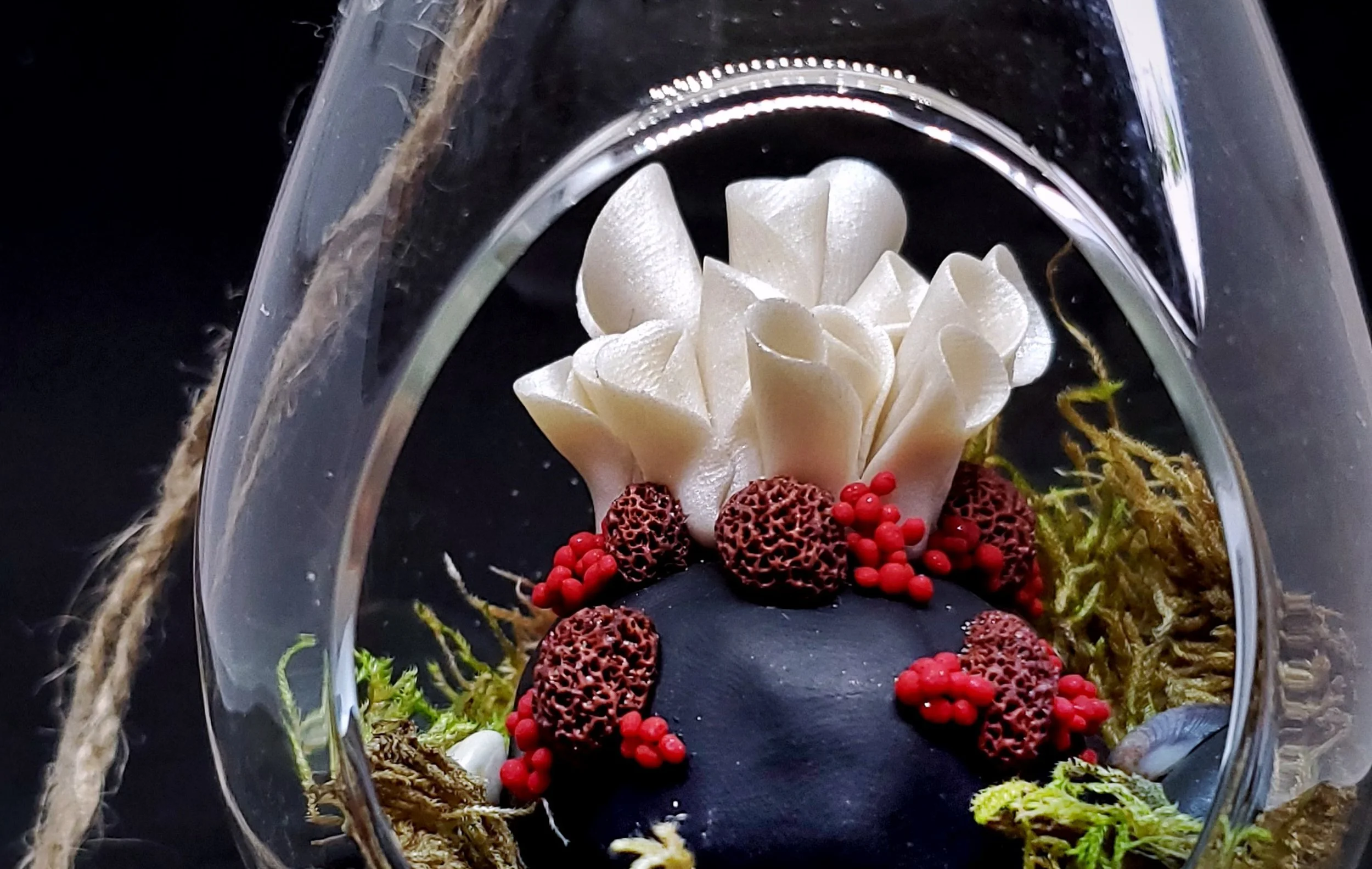 20211126_132238-01 copy-1.jpg