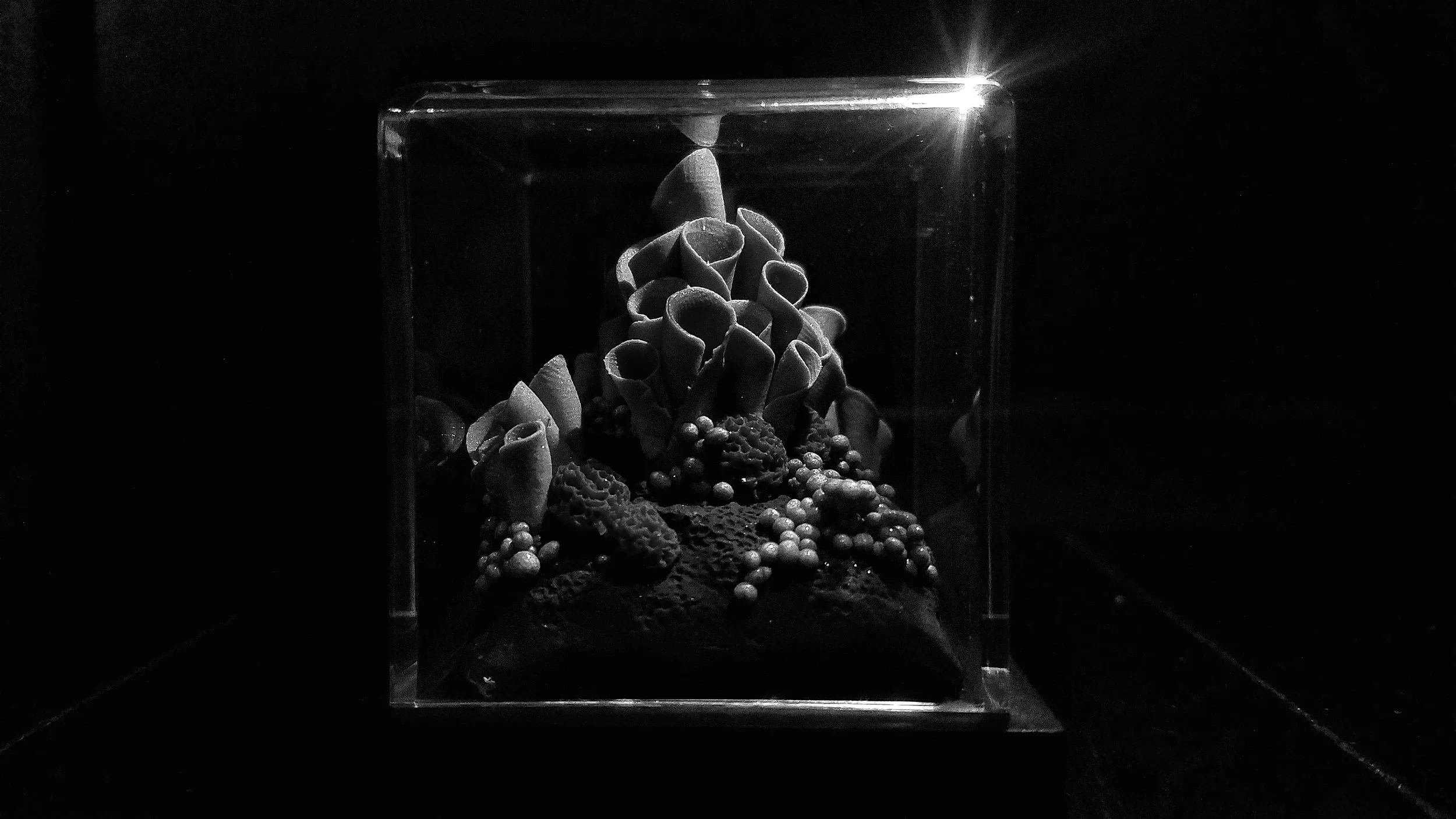 20190202_121149-01.jpeg
