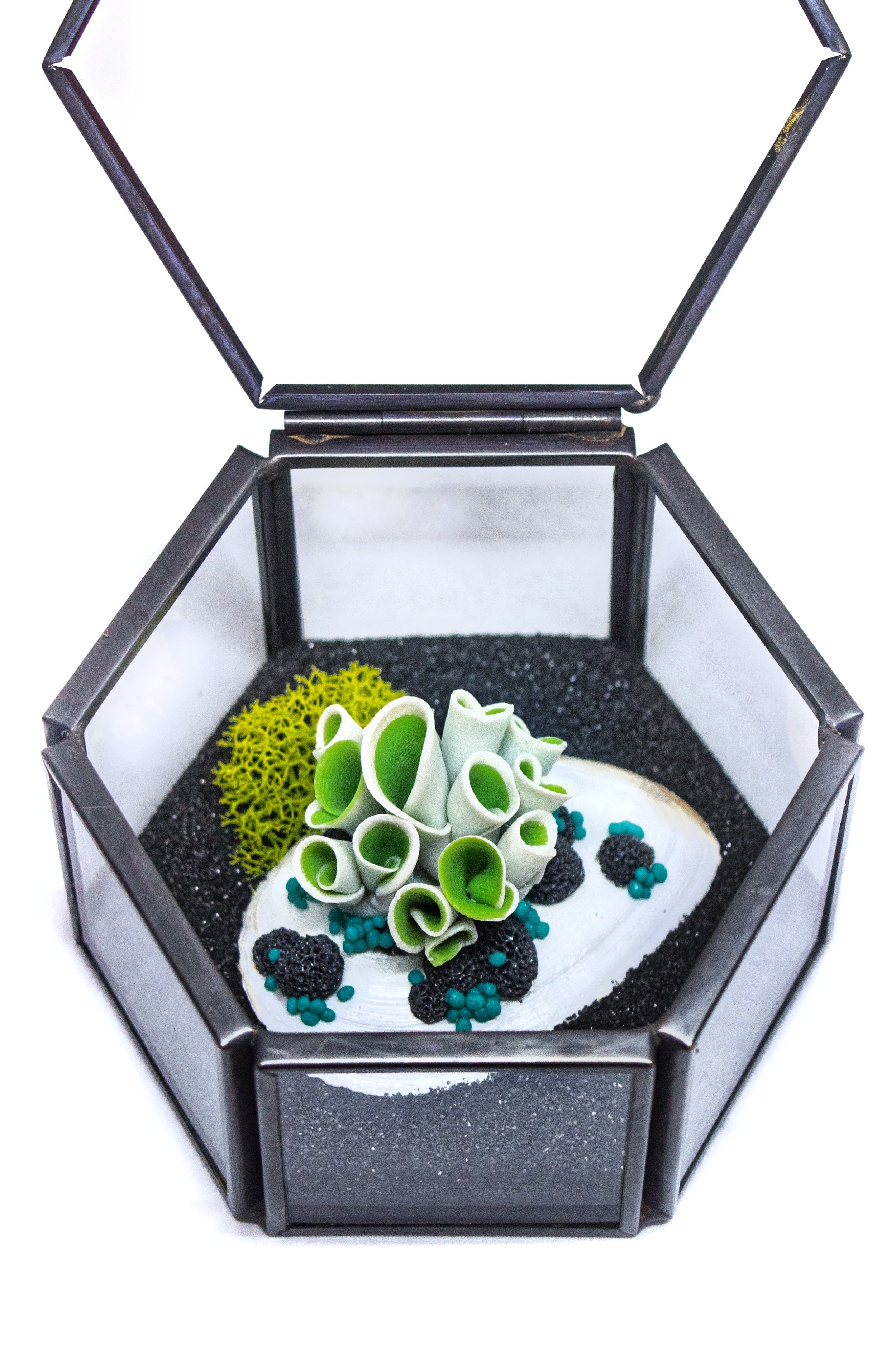 Miniature Coral Reef Inspired Polymer Clay Sculpture Inside Small Jewelry Case